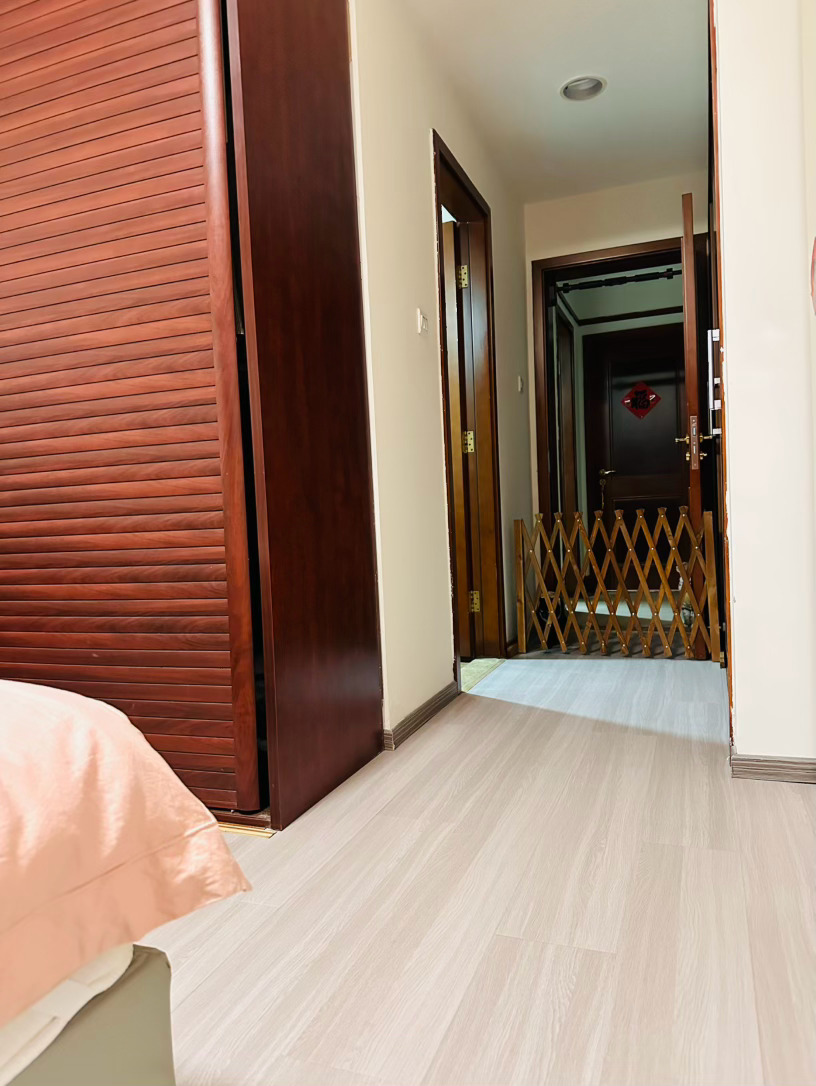 栅栏让我和咪不再是两个世界