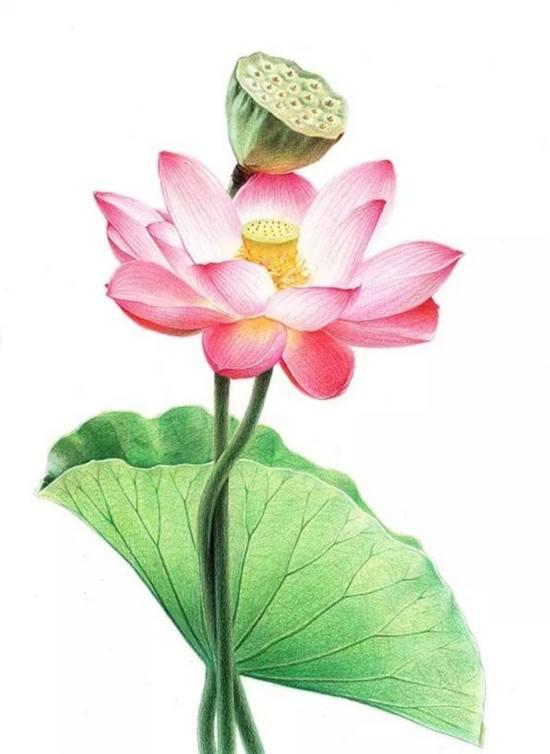 昨天海对面平台发生的事情。
平台黑产团伙购买了可以绕过实名认证的“接码”服务，利