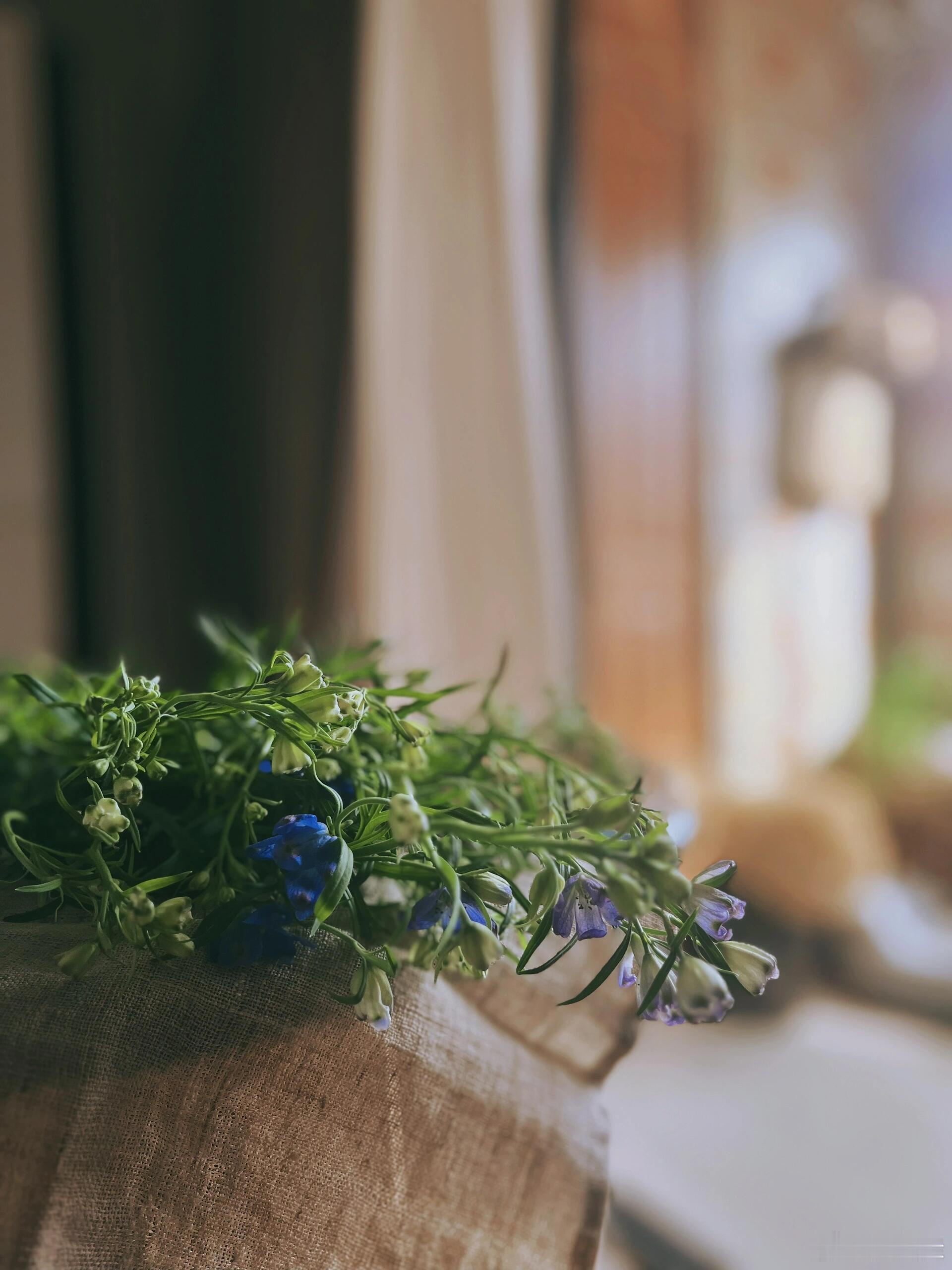 人各有各，不过尔尔，好与不好都是生活，尽力就好，允许所有的事与愿违。人生从来都不