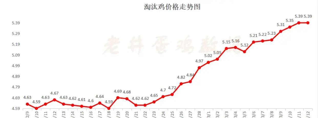 本周全国鸡蛋市场，价格小幅反弹却让养鸡户亏损加剧，为何3元多一斤的鸡蛋还卖不掉成