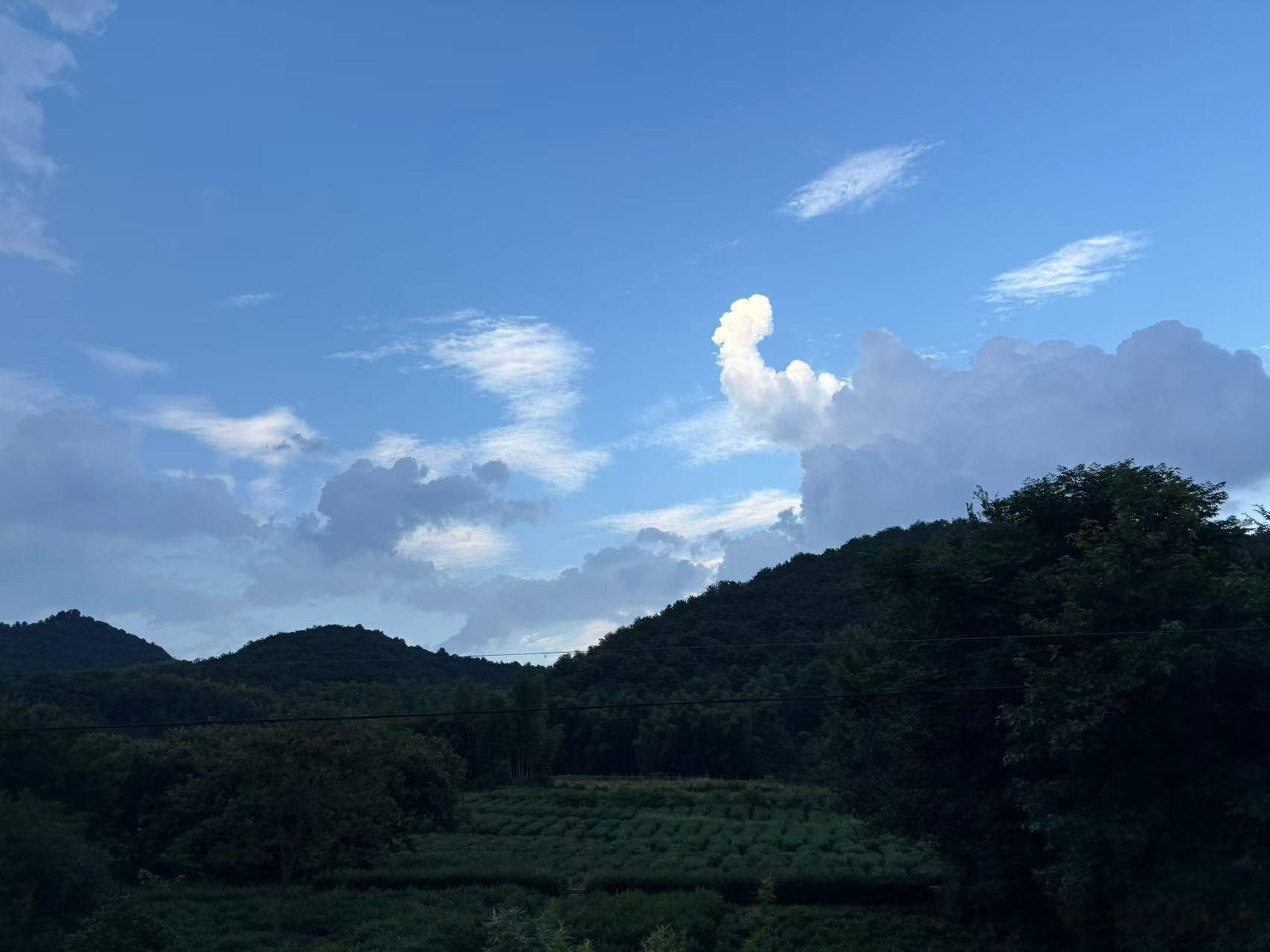 山里面的空气是真清新，心情也跟着舒畅！ 