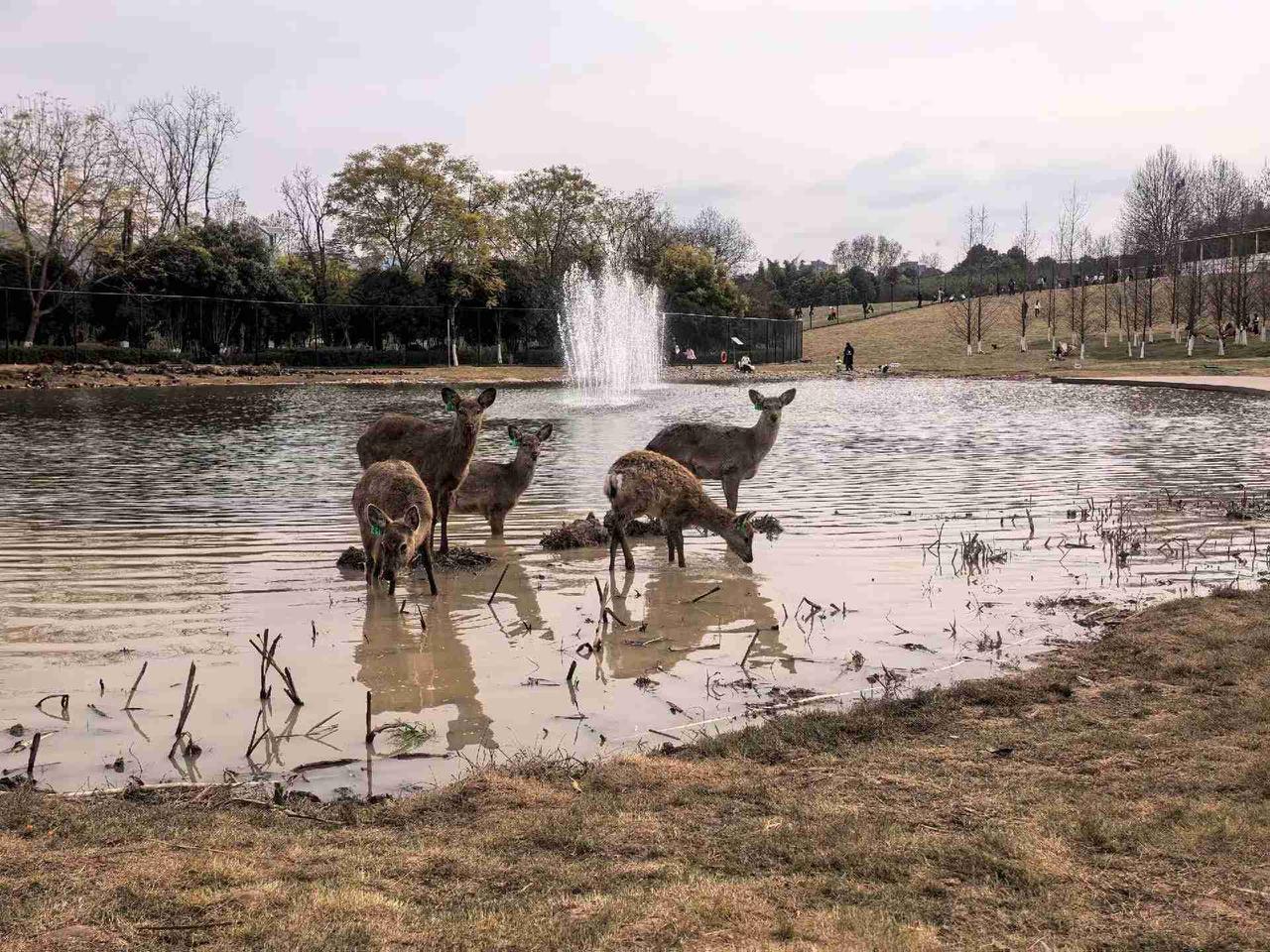 正月十六，天气晴朗，阳光灿烂，愿大家的心情也如此明媚、舒畅！

带定位晒今日生活