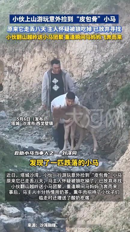 万物皆有灵！小马走失8天绝境求生，凭着一身韧劲苦熬时日，默默坚守盼来奇迹。

5