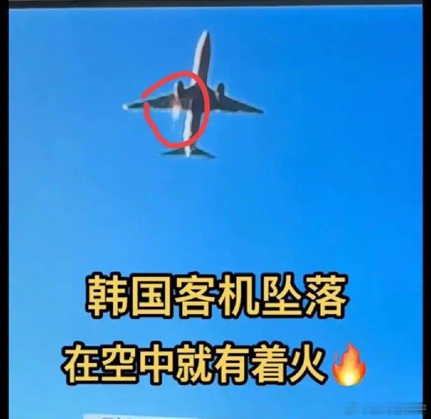 韩国客机着火179人遇难  韩国空难飞机，鸟钻进了发动机！坠毁前，在空中时，右侧