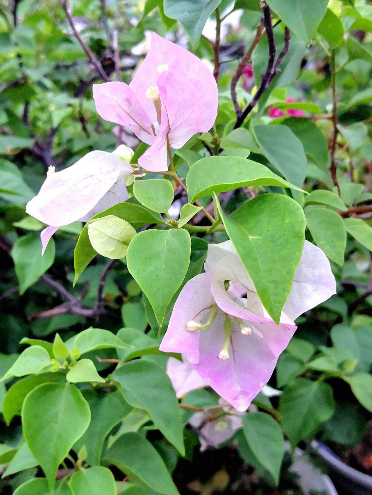 凡是你想控制的东西，其实它已经在控制你。你不控制对方，对方就不会控制你。起心动念