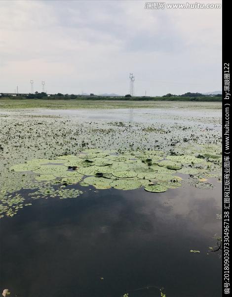 今天听一个村书记说，他们村里有一个巨大的河塘，河塘岸上的边坡常年被村民种庄稼，导