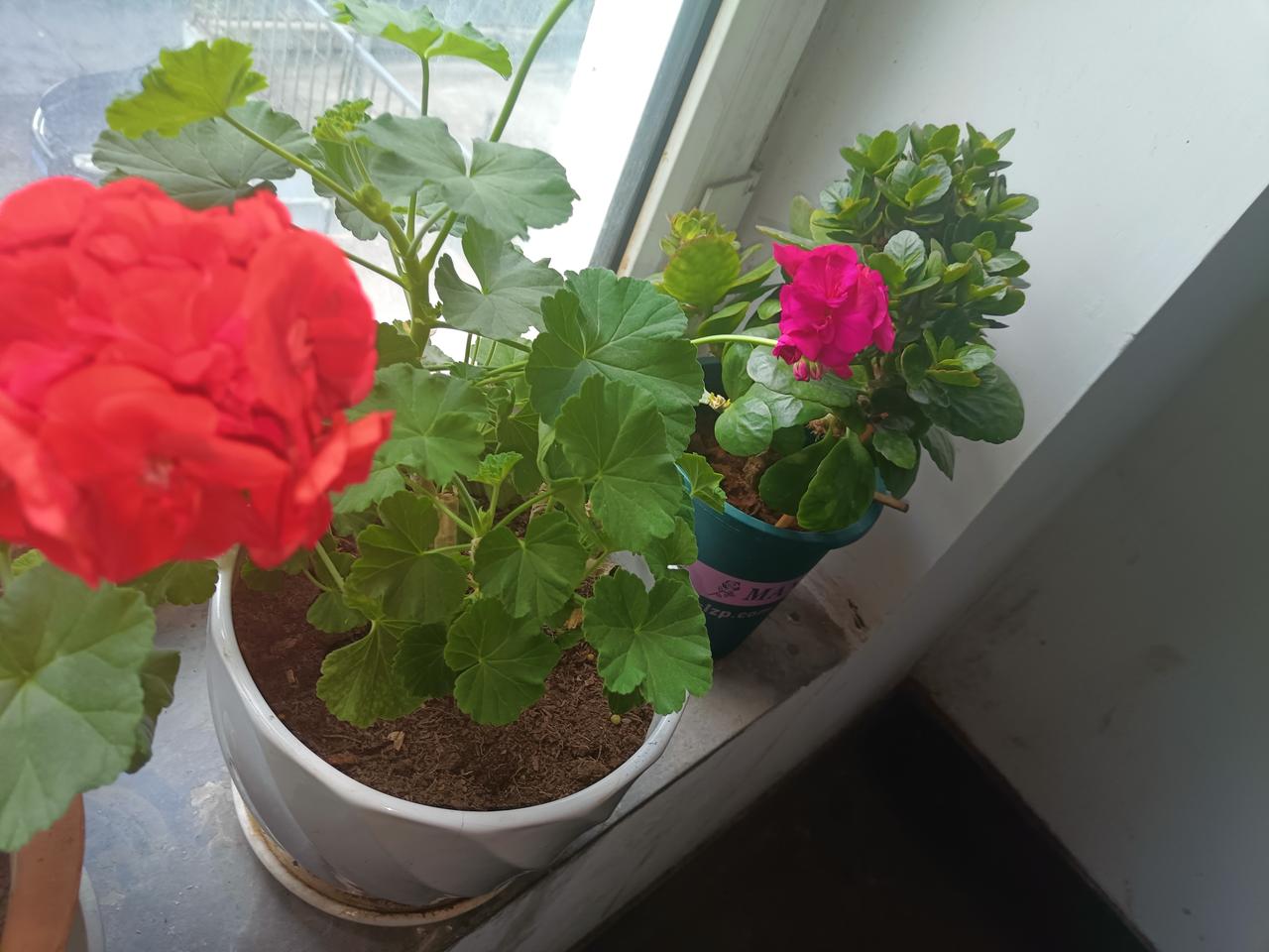 分享你的随手拍照片