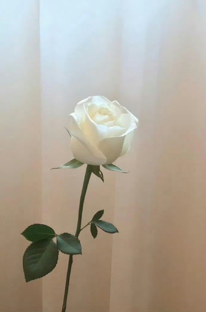 不要轻易给自己贴标签和下定义，相信自己的人生拥有各种可能性。观念不是越活越多，而