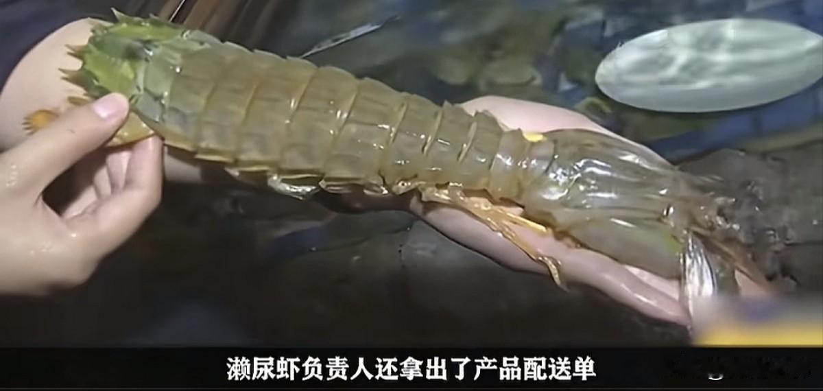 在海南三亚的一家海鲜店里吃夜宵，当时点了四只皮皮虾花费了1035元，网友一下子就