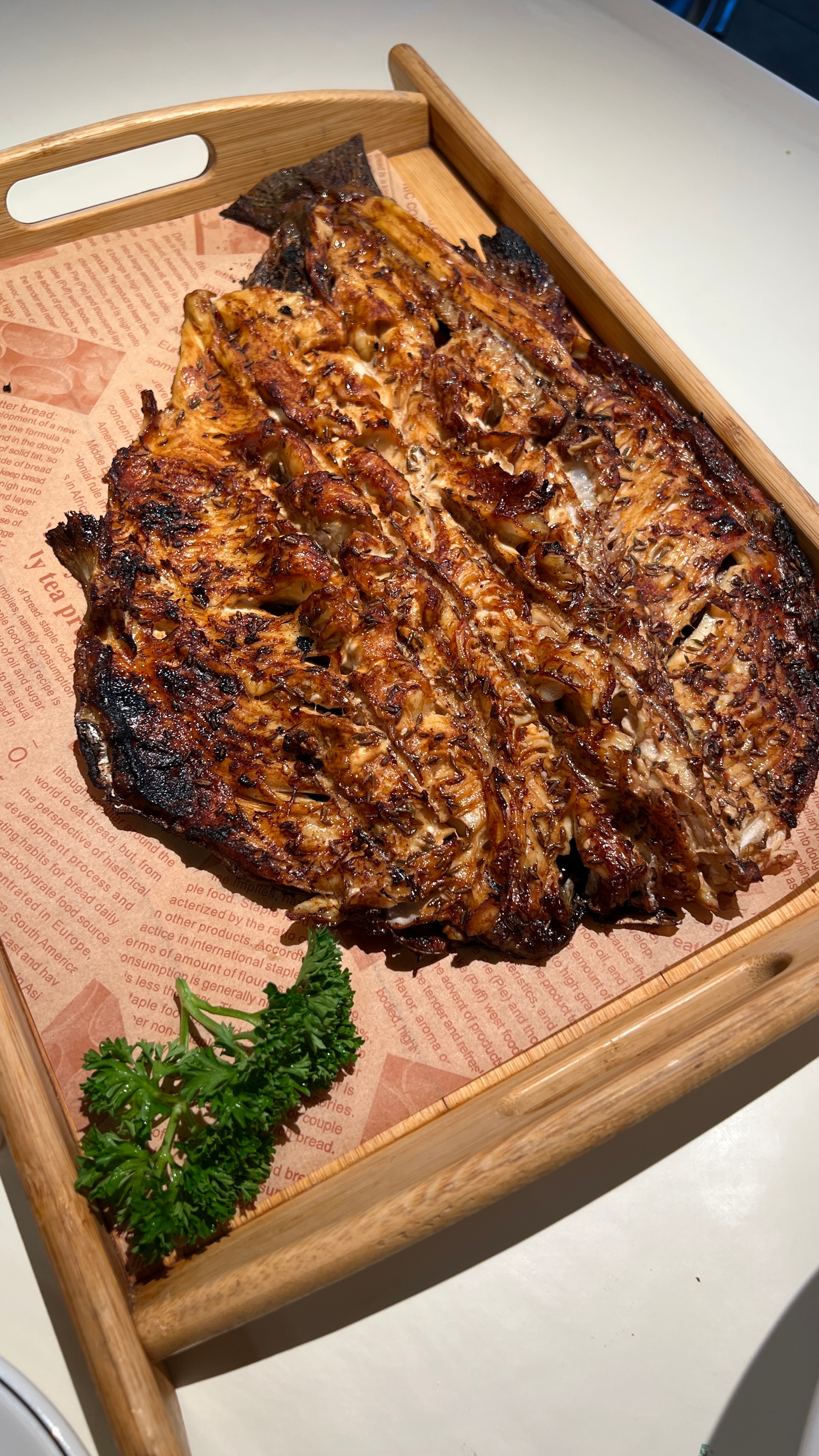 告别烤鱼和慕田峪守备猫大人回家了 晚安 北京·渔家傲