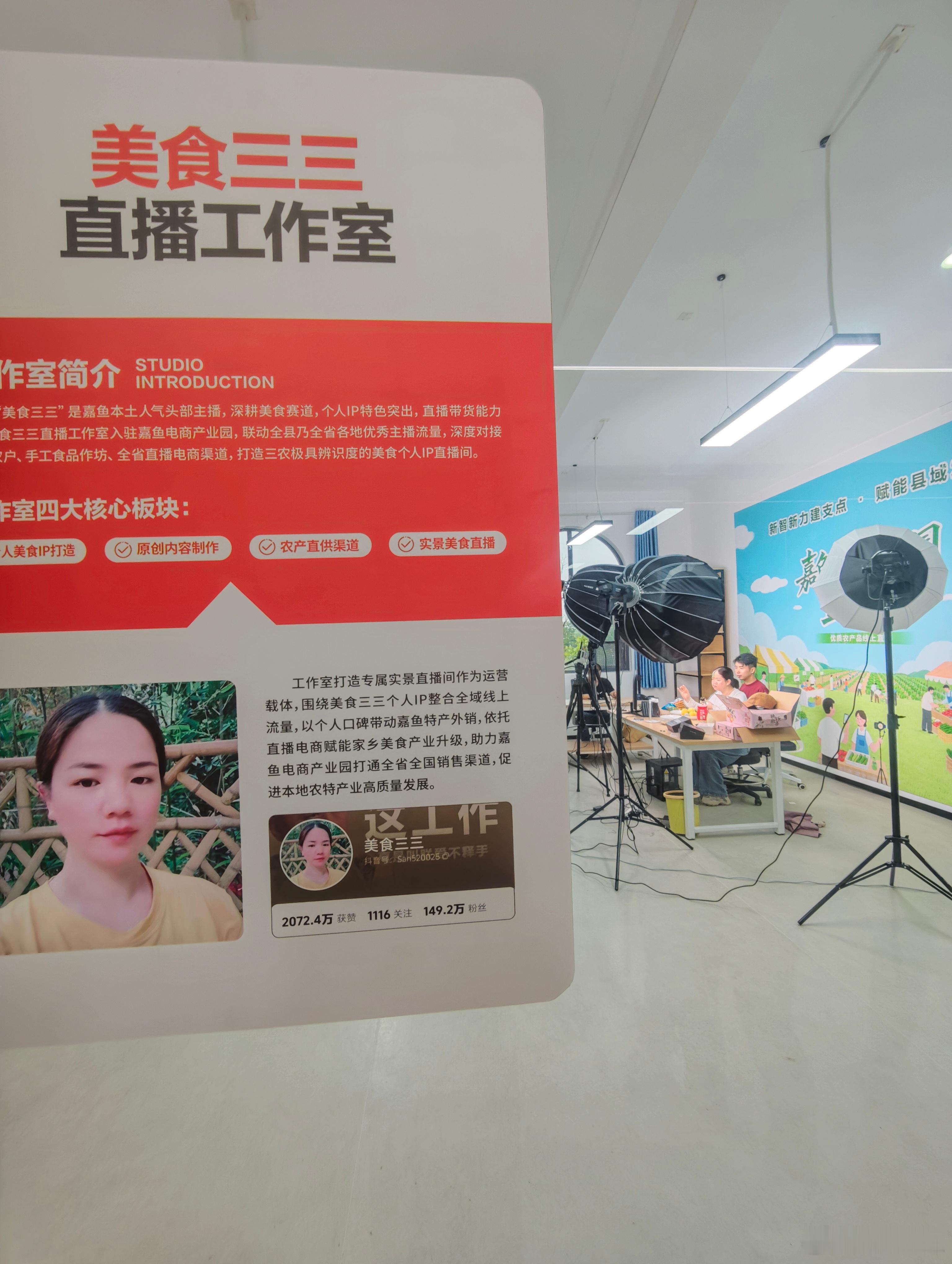 “新智新力建支点·赋能县域发展专项行动”工作推进会在湖北嘉鱼顺利召开，湖北省新联