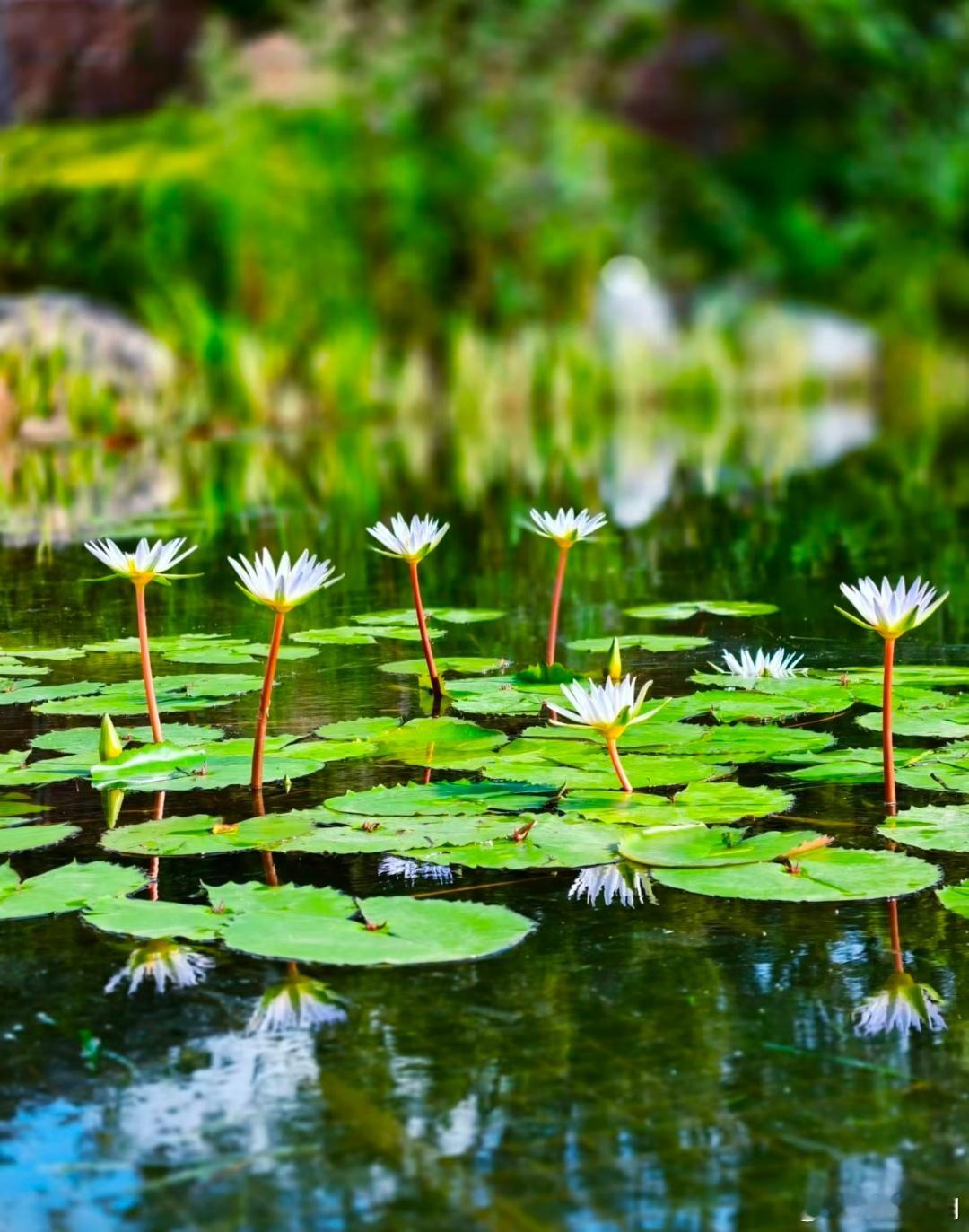 进德修业常怀善念，一点一滴，皆是善意；常行善事，一言一行，皆是善行。积德无需人见