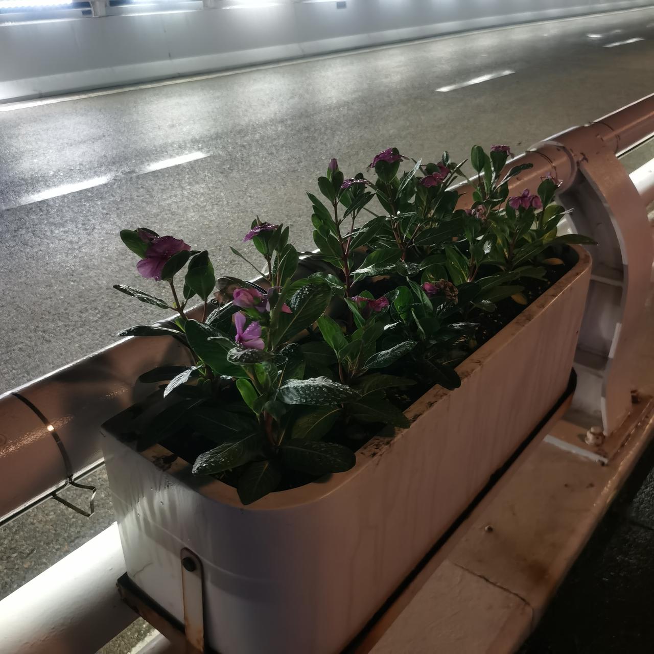 老公会离开现在的公司吗？我的心在一定的忐忑中。

打心眼想，我希望老公离开这里，