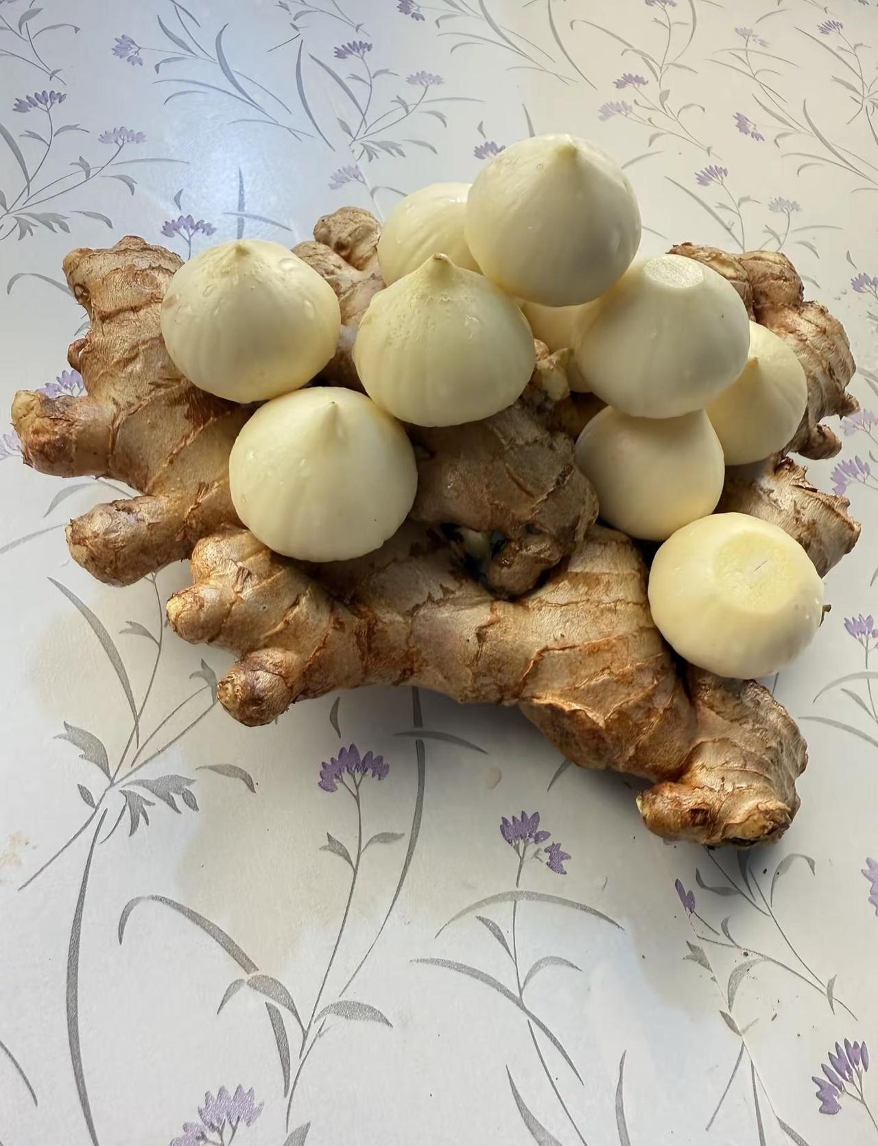 斯诺克锦标赛1/4决赛，吴宜泽13-8瓦菲，八强全员盯着赵心童，却杀出黑马吴宜泽
