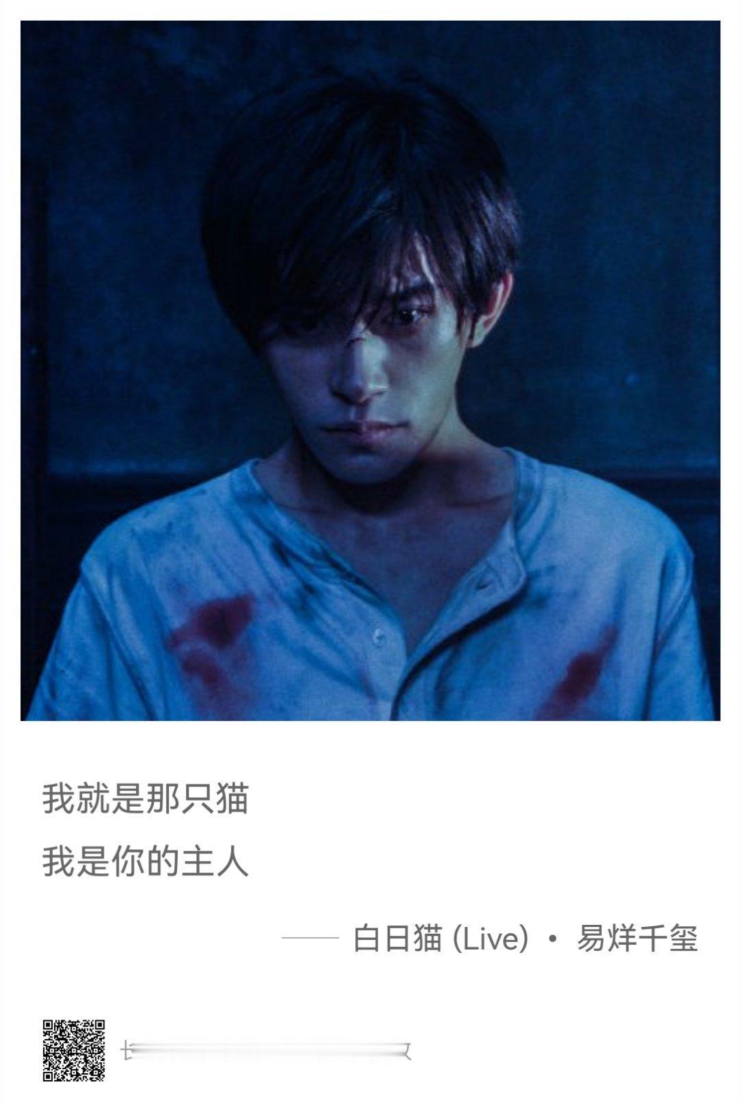 歌词分享 白日猫 (Live) (