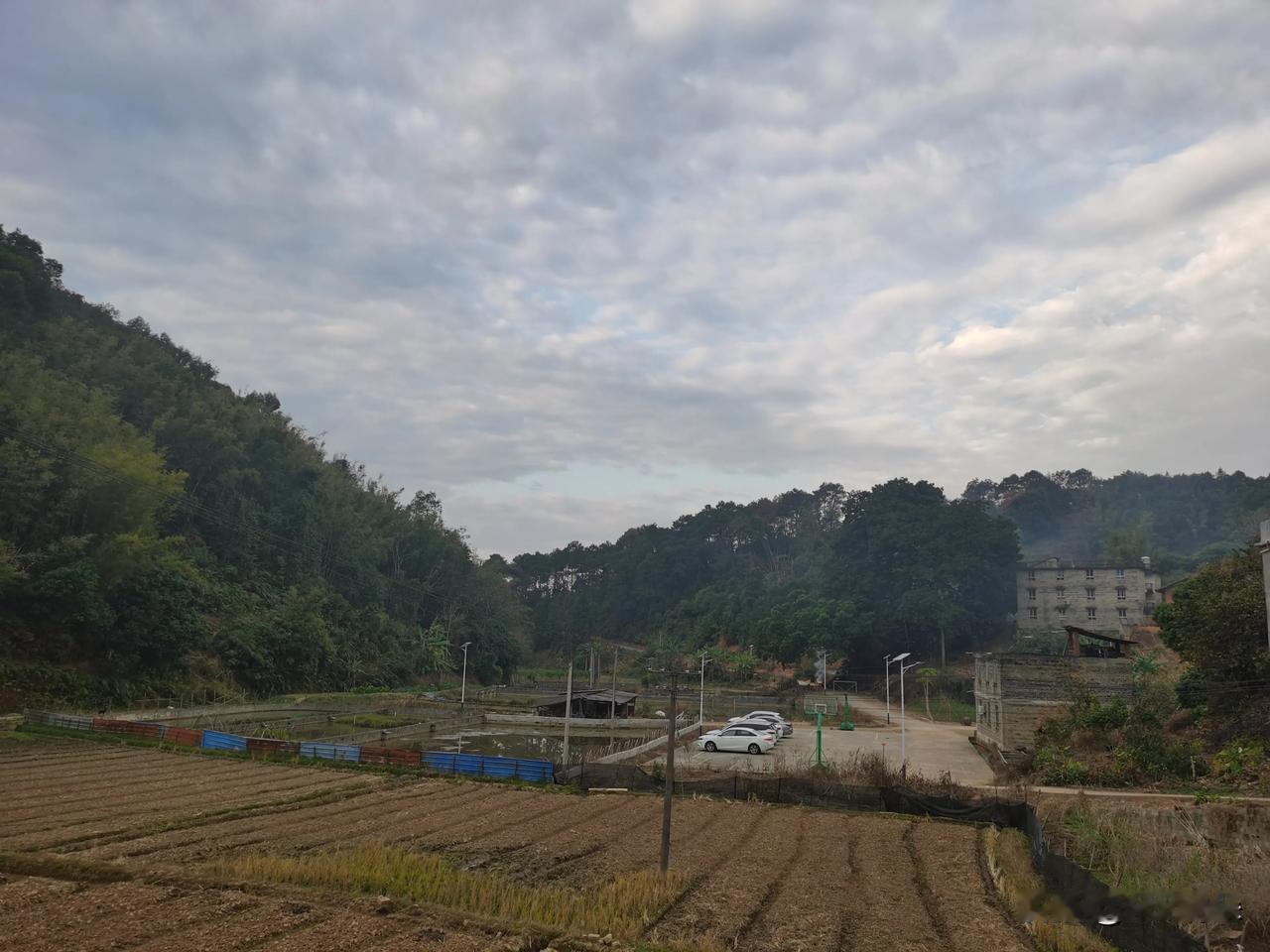 早上起来开门见小山坡