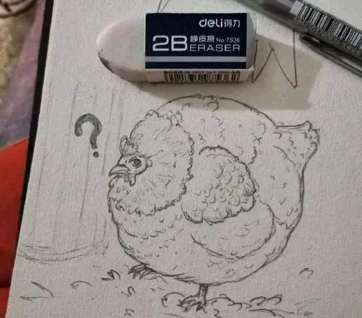 刚刷到这个帖子，看后直接把我给笑喷！

国外某学校，美术老师让学生画一只鸡，结果