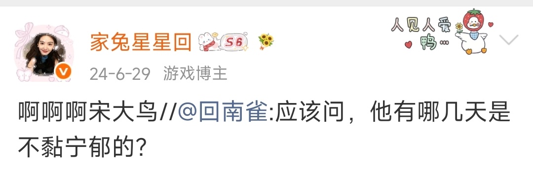 回南雀亲自认证宋柏劳是一只黏老婆的鸟 