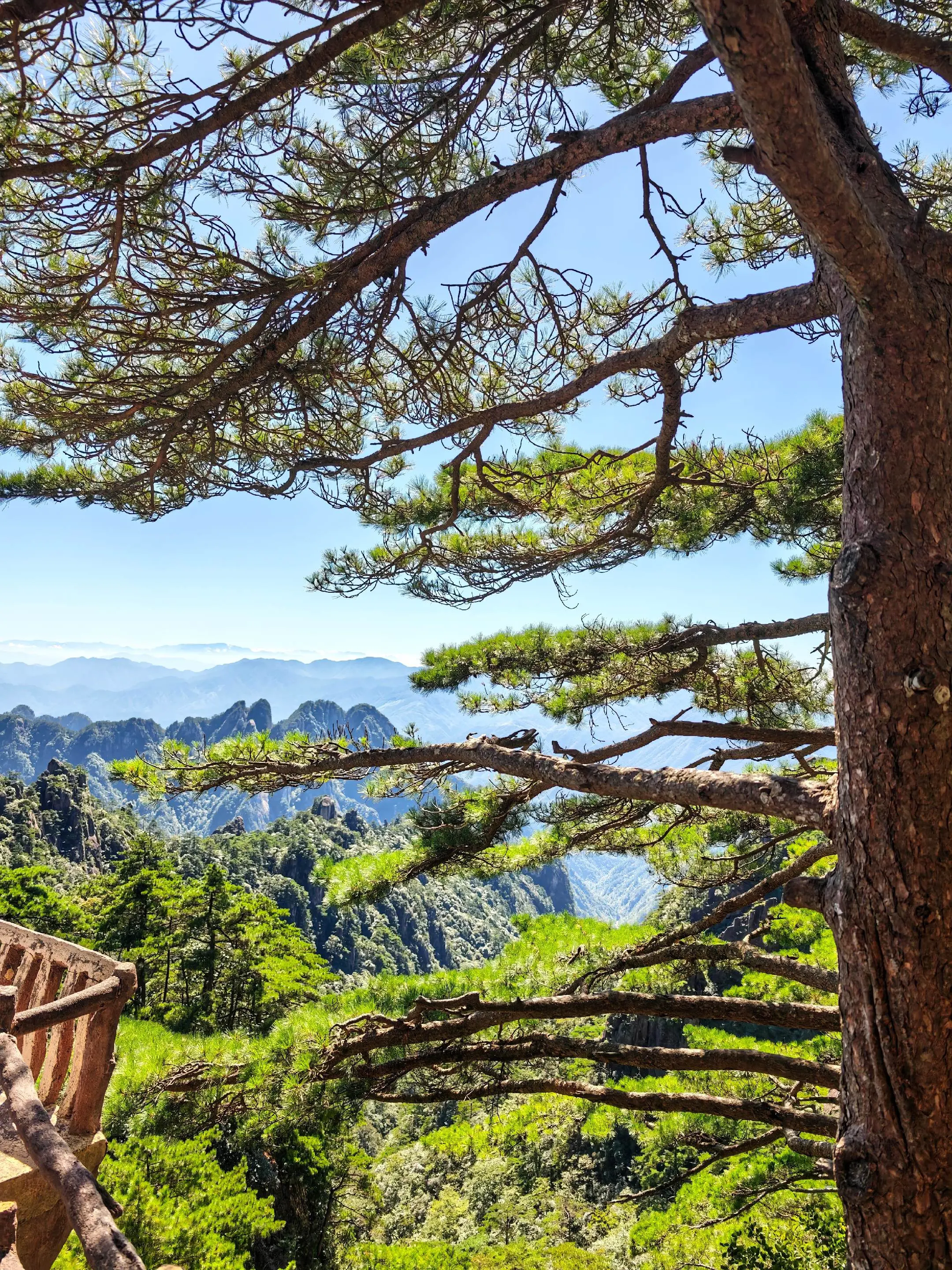 小小黄山，拿下↓。📷by Xiaomi 17 Ultra我武当派已抵...