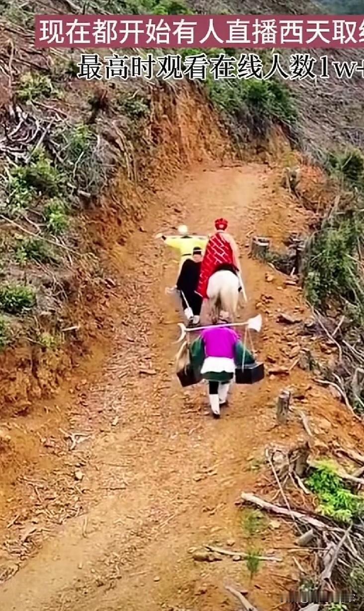 西天取经四人组，外加一马。很多人开始讨论了，这四个人到底谁最舒服，谁最累？

