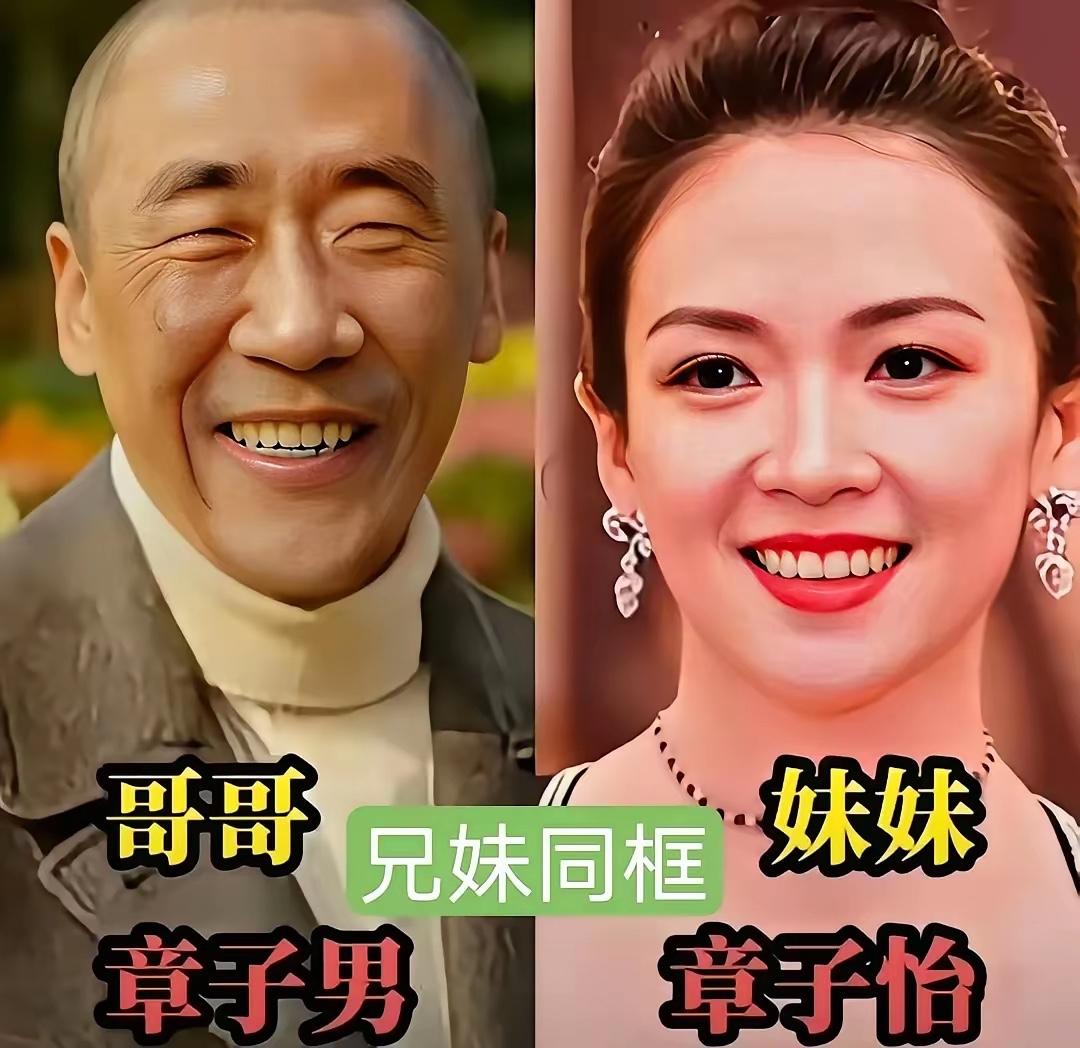 娱乐圈里的亲兄妹
一个是大明星另一个却是普通人

章子怡有一个亲哥哥叫章子男，不