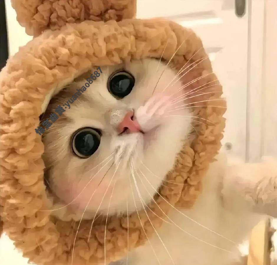 异地看病，片子还能跨省看？
这事儿真来了。
2025年11月20日，北京三院启动