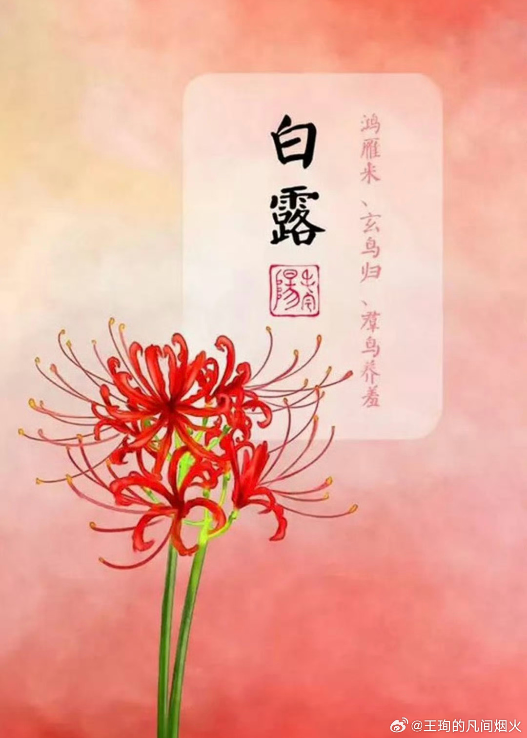 今日，白露。。蒹霞苍苍，白露为霜。 ​​​