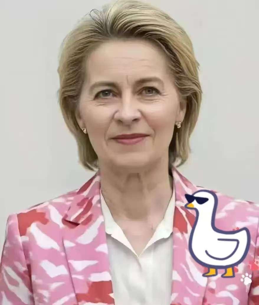 快讯！快讯！
欧盟突然宣布了
  9月19日，欧盟委员会主席冯德莱恩在布鲁塞尔宣
