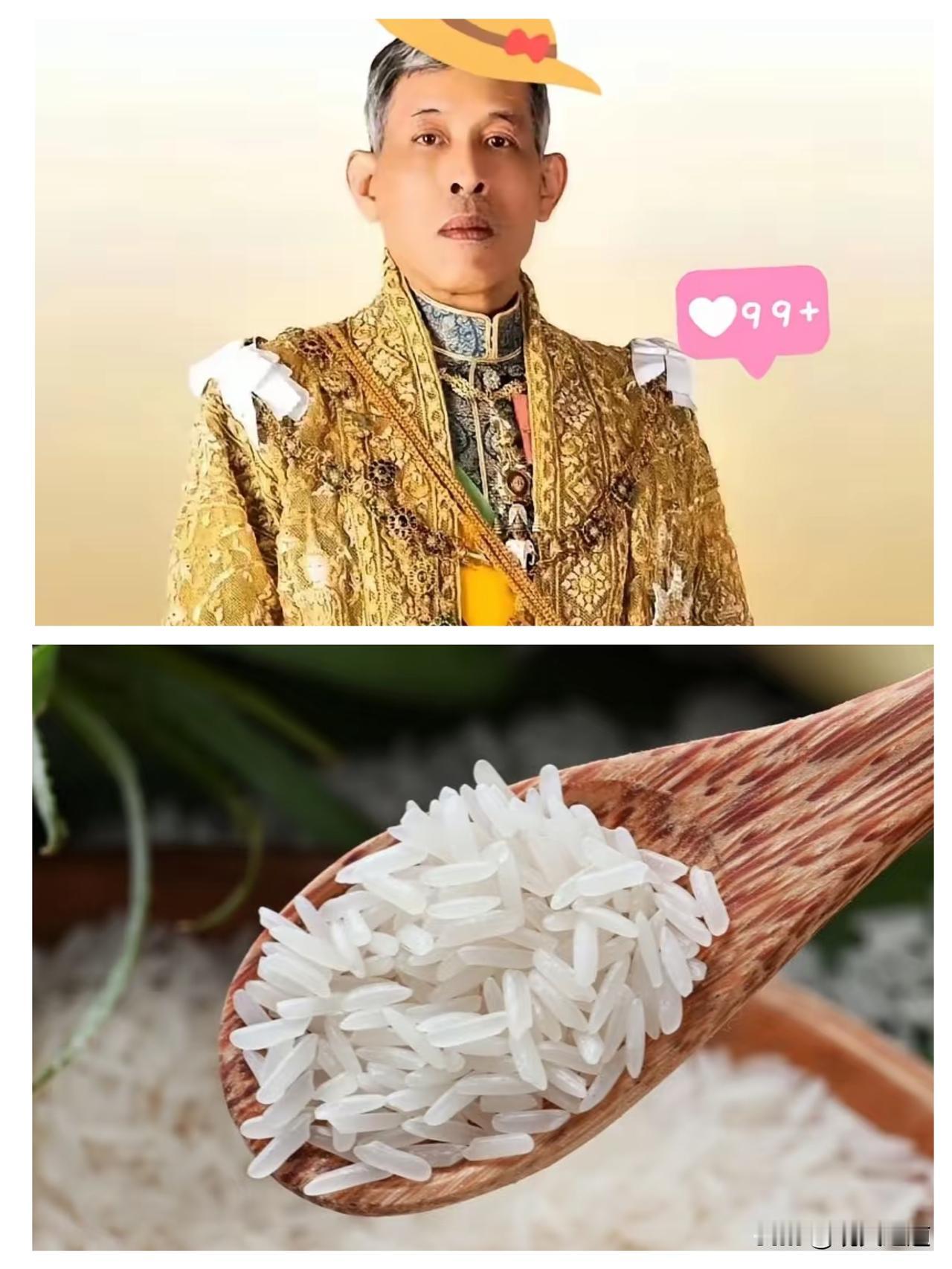 果然被我猜中了！泰国这波官宣太实在，50万吨大米订单直接敲定，可不是画饼的口头承