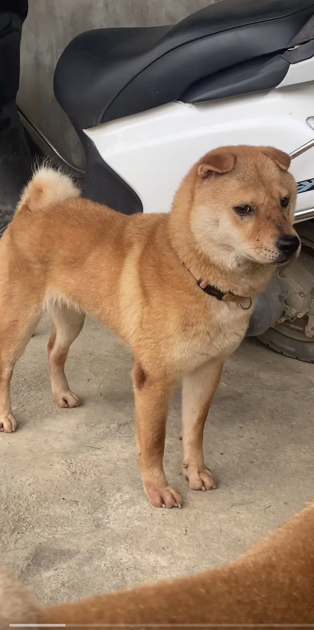 出掉一半留几条自己玩当副业、👈