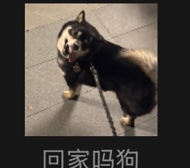 斤：老爸还回家吗 