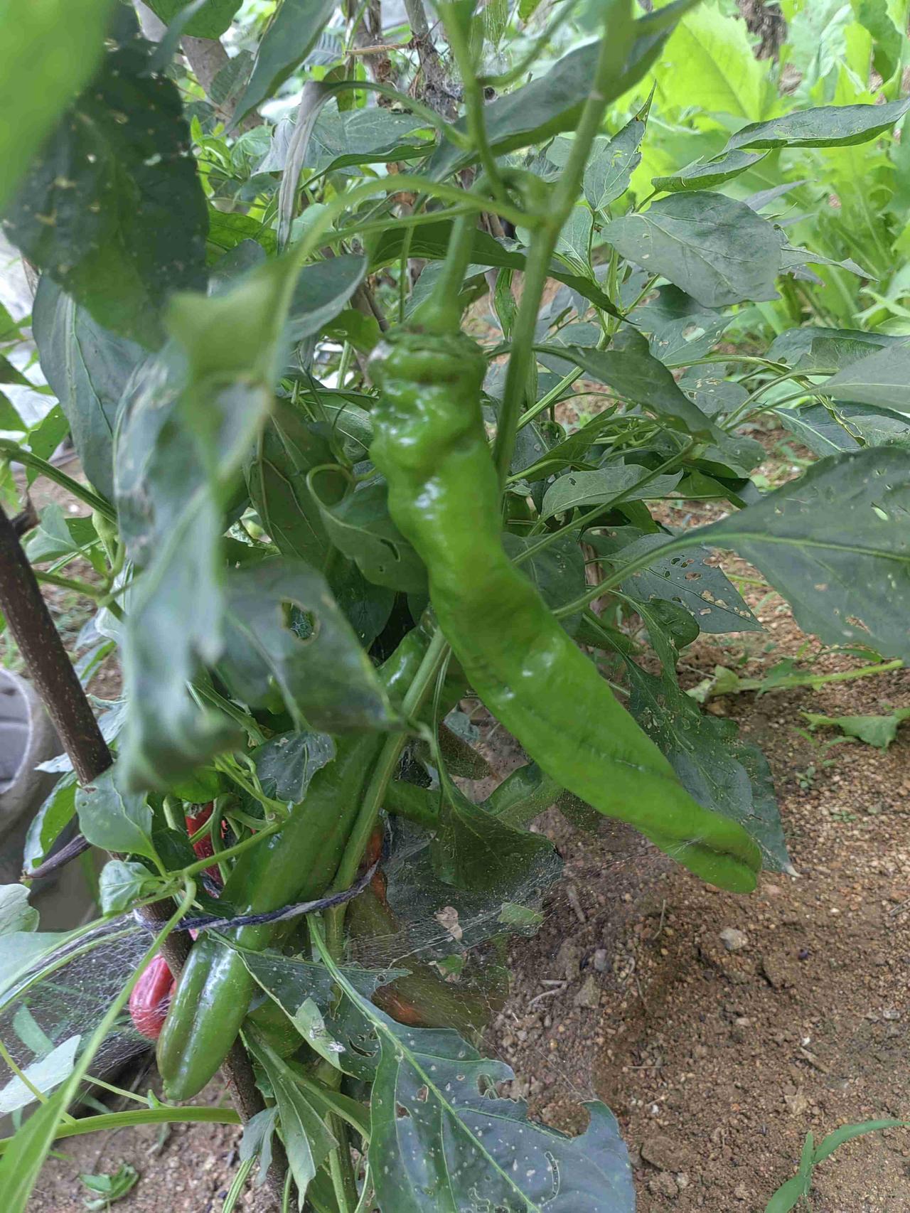 我的今日状态：🏝️旅行度假
我这里的天气：🌧下雨