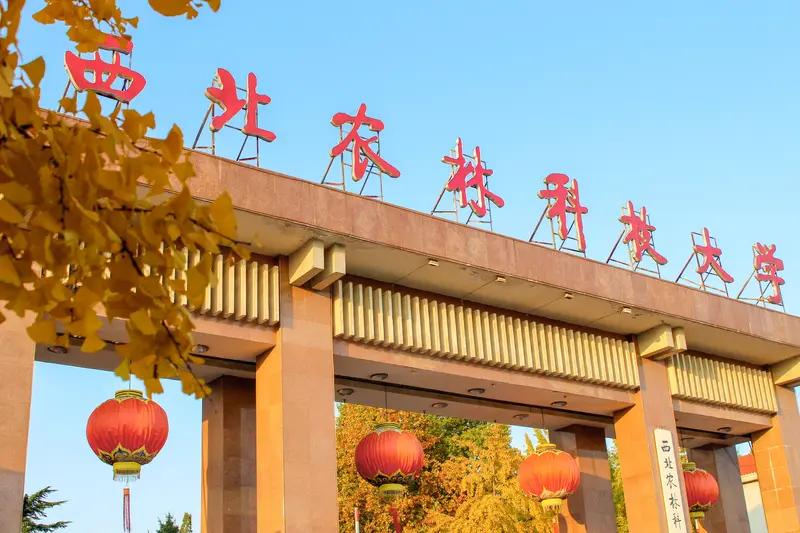 河南师范大学世界史专业停办了，这体现了当下高校学科专业调整的大趋势。今年不少“双