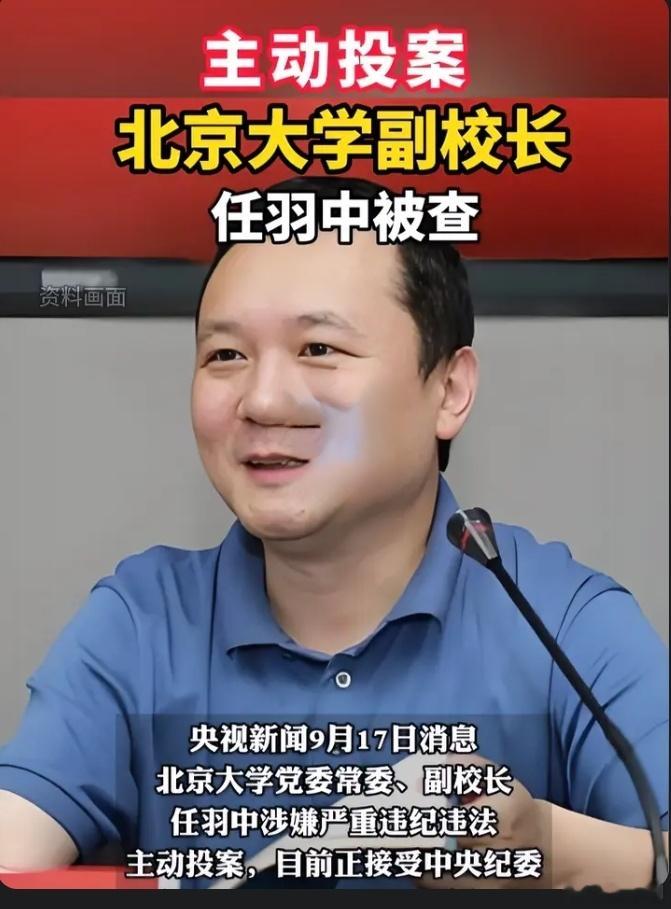 北大80后副校长任羽中被查这两年，在教育反腐的高压态势下，无论是高校还是中小学校