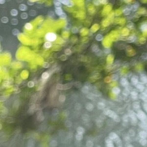 诚实与善良，始终是人性中最具光辉的部分，无论在任何时代，都受到人们普遍的认可与喜