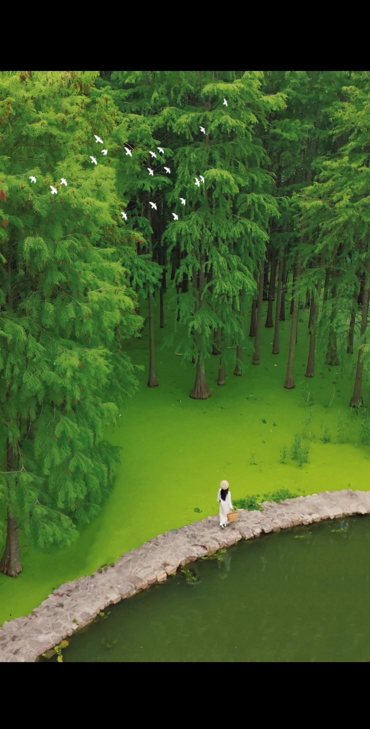 在武汉！找到夏日绿野仙踪秘境路线🍃。这个夏天来武汉，想要避开炎热好玩...
