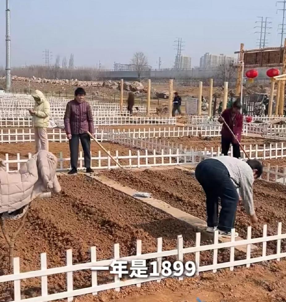 火了！济南30平共享菜园收费一年1299至1899元，出租率竟然高达90％！工作