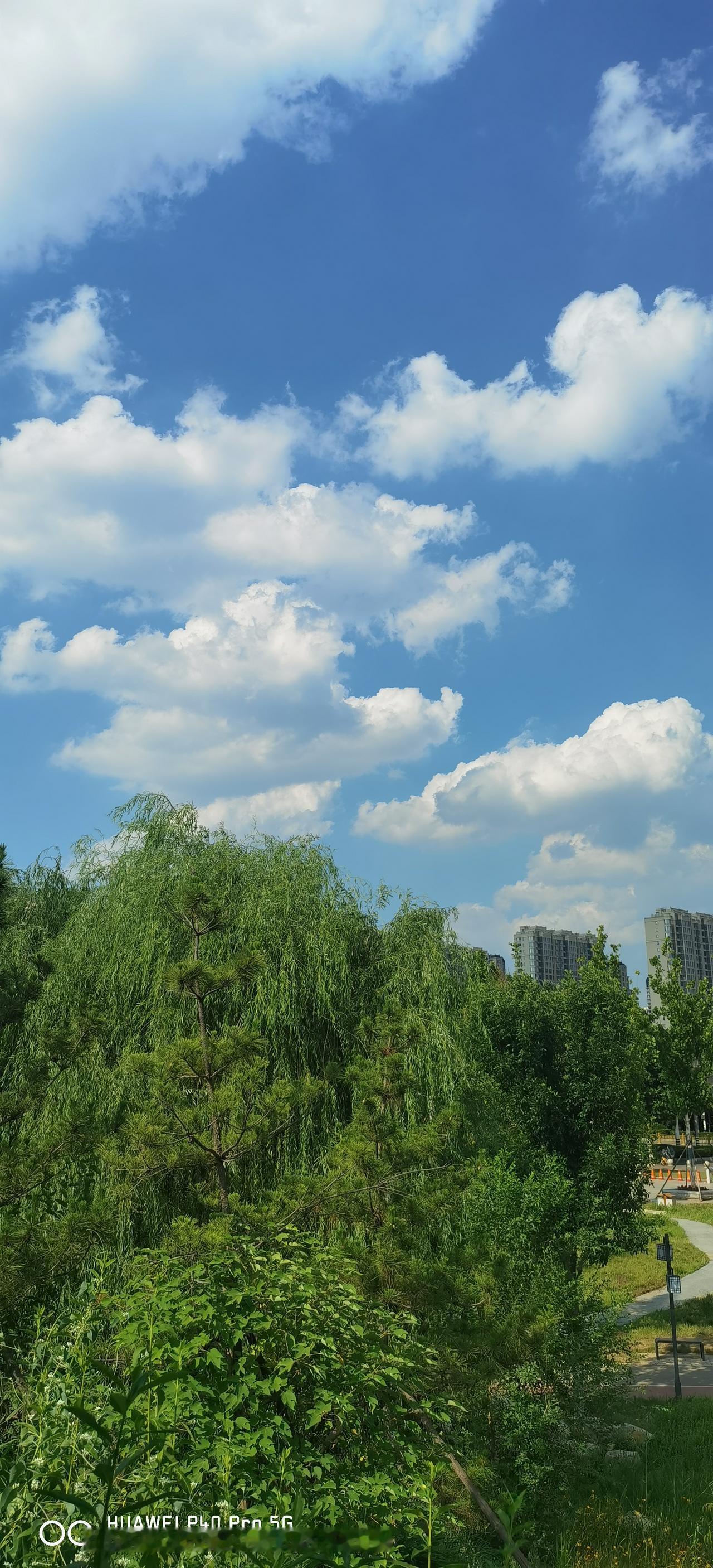 赵医生说得很实在，没必要害怕体检，检查出了问题也没必要如临大敌。有点小毛病听听大