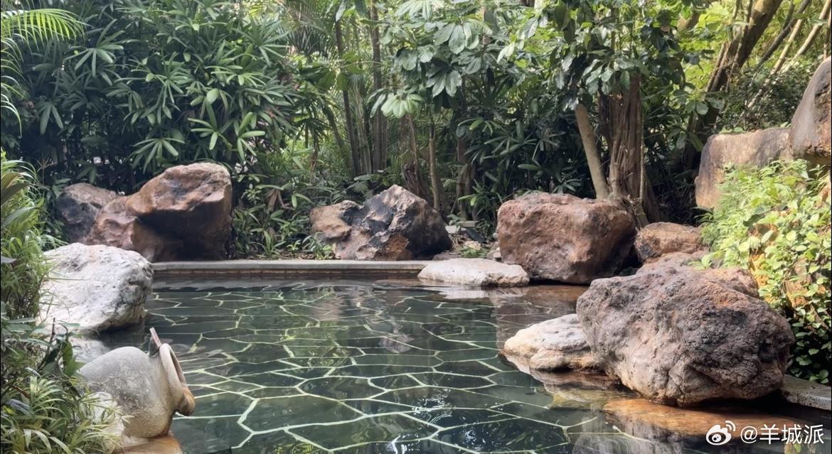 【加热的“锅炉水”，添加硫磺粉的自来水……你可能泡了假温泉】进入秋冬季，温泉旅游