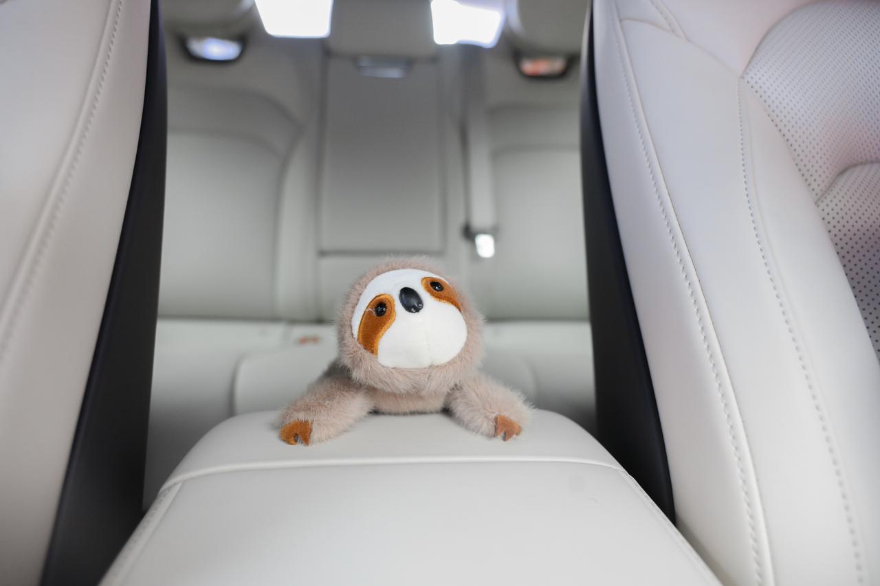 在竞争激烈的新能源市场，一款新车能否脱颖而出，关键在于它是否真正读懂了年轻用户的