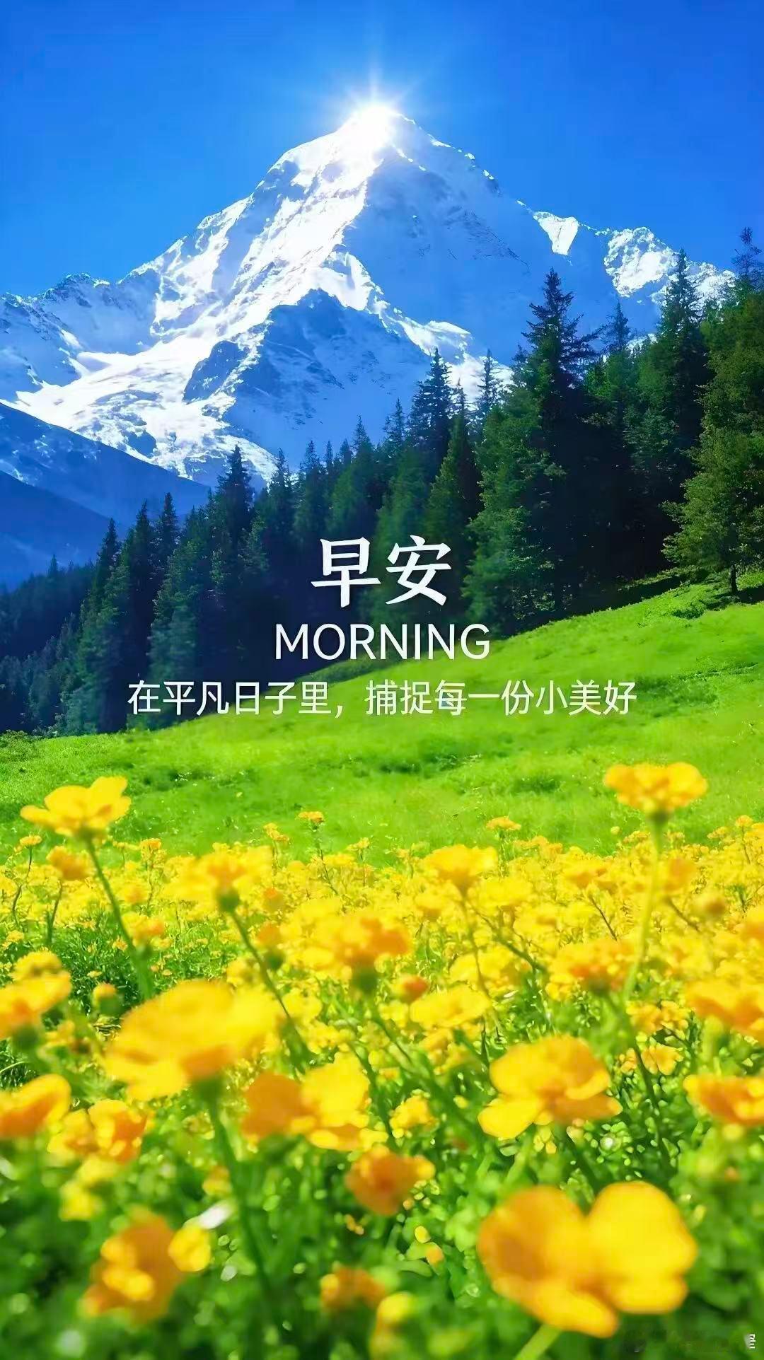 宽窄思语 在这光与雪的交界处，万籁俱寂，唯有心在行走。世事如这山巅的积雪，看似高