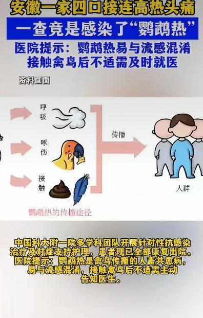 安徽合肥有户人家最近遭遇了一场意想不到的健康危机，源头竟是家里养的几只鹦鹉。事情