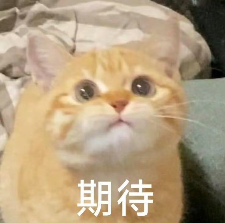 迪丽热巴  今天是特别美萌的姐姐有没有阿丝和星星分享一下你们存的图图！！！迪丽热