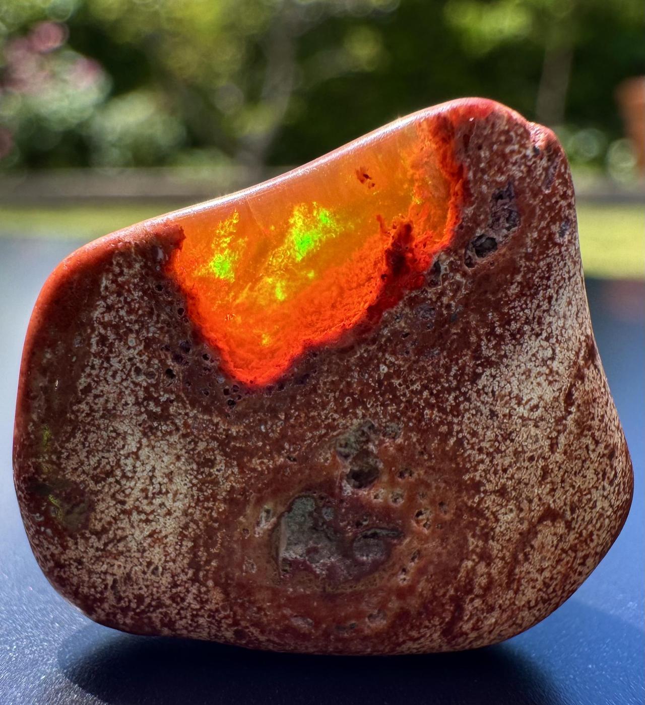 这是一颗火欧泊，内部火焰般的橙红色游彩像被封印的岩浆，表面光滑，色彩流动感强，视