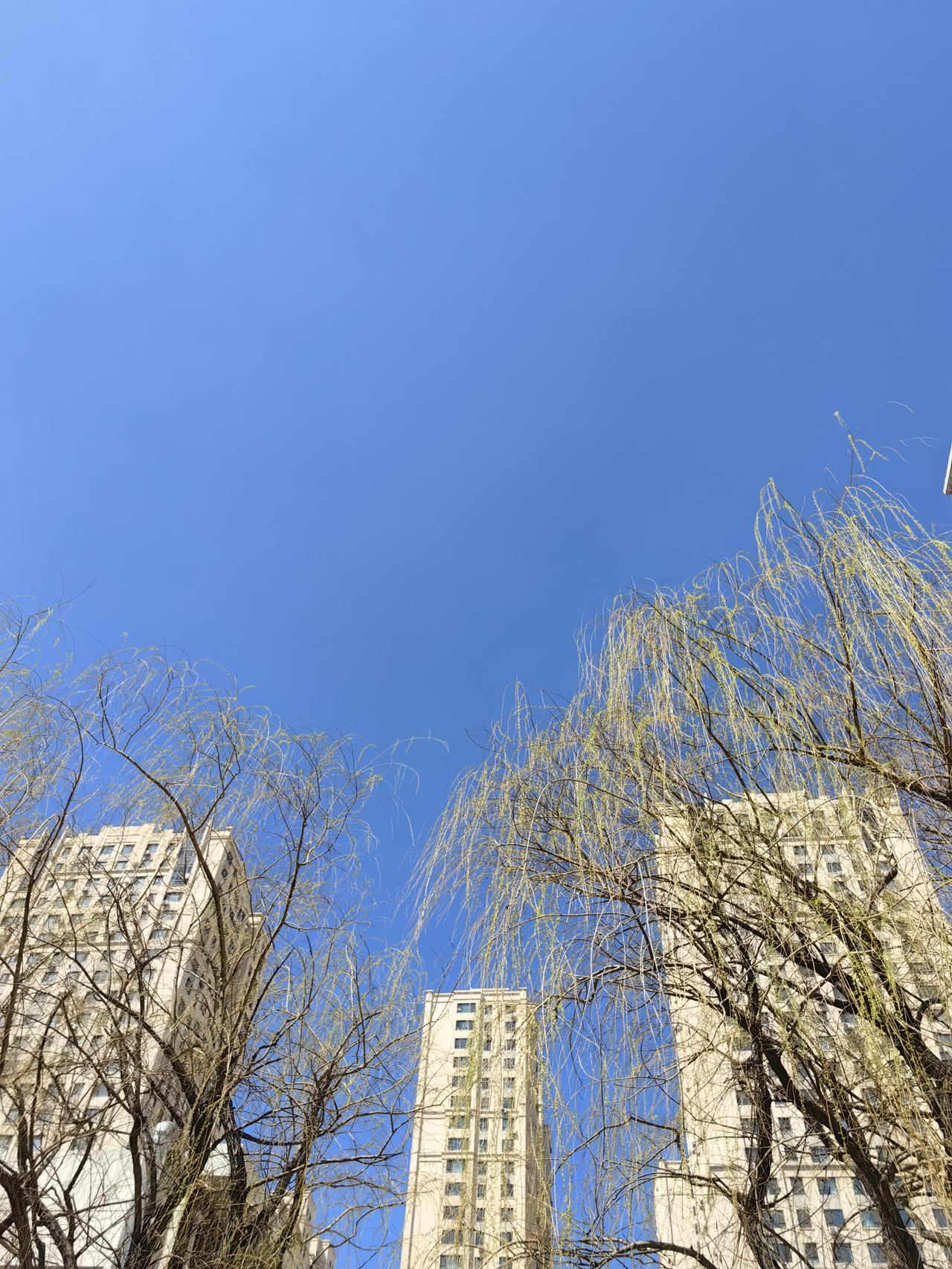 蓝天.哈尔滨