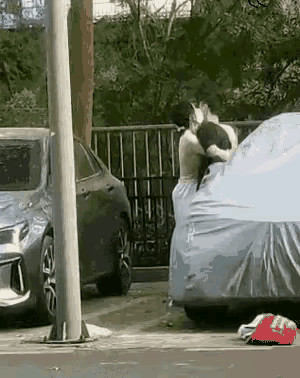 放过这个男人吧，人家不愿意[捂脸]