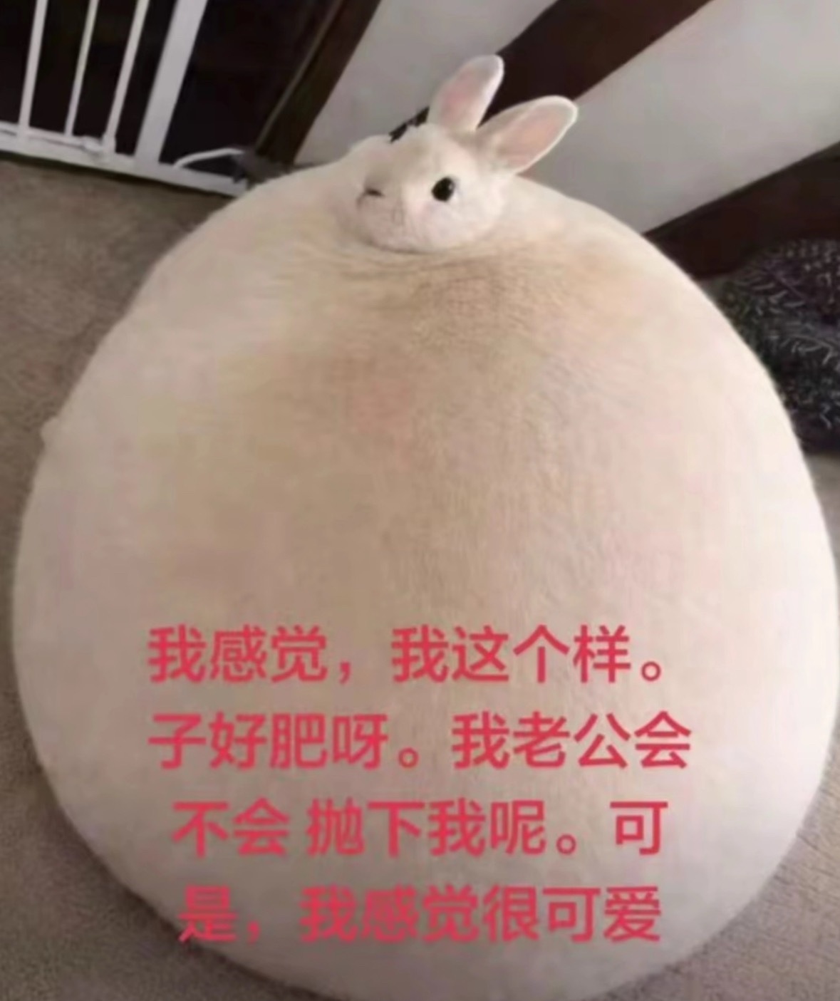 呆桃每次吃撑了就这样，但其实全身也就大腿根和屁股有点肉王博还嫌抱着硌人呢