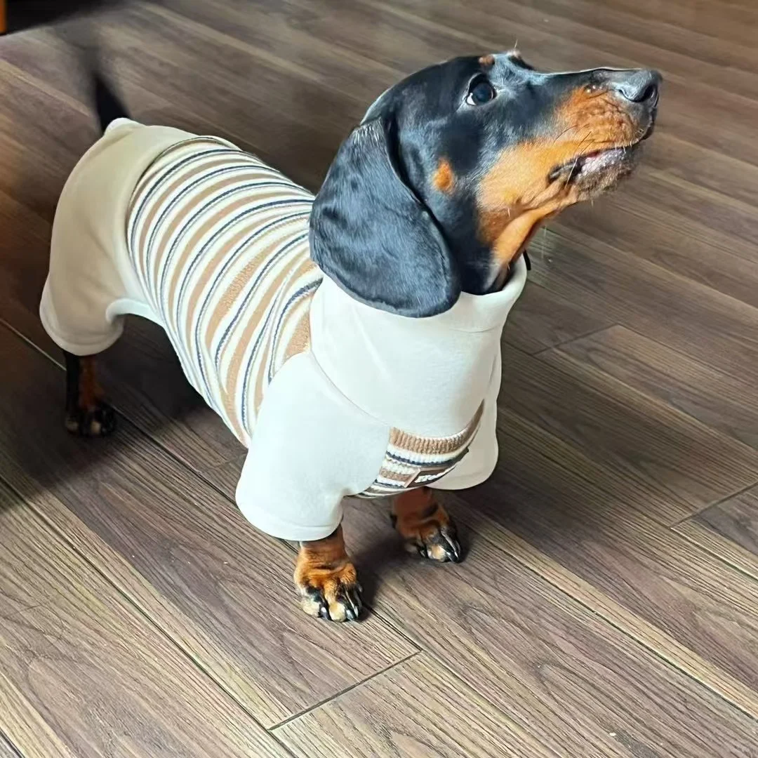 肠肠小衣服