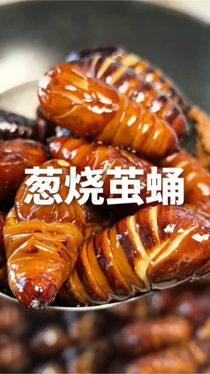 葱烧茧蛹。
不用过油的茧蛹在家到底怎么做？外皮酥脆，里面的蛋白质还一点都不流失。