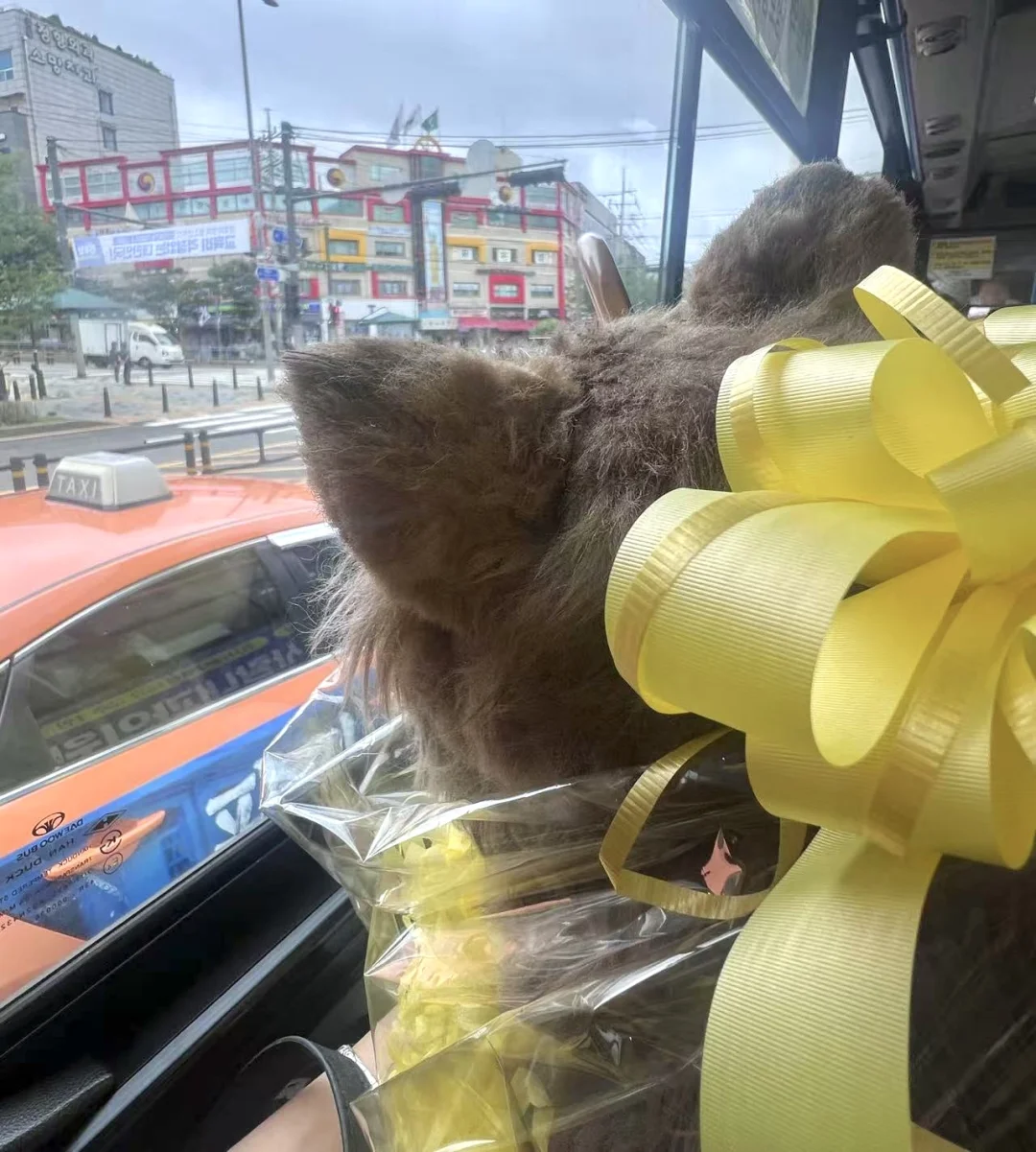 拿铁打扮成小礼物💝要去哪里呀